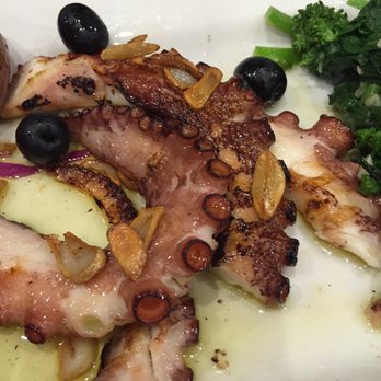 Avenida - Grilled Octopus - Portuguese Near Me - Bridgeport, Connecticut
