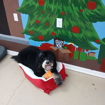 Santa's Doggie Workshop - Pet Groomers Near Me - Johnston, Rhode Island
