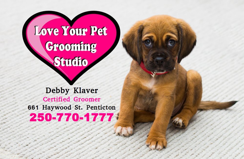 LOVE YOUR PET GROOMING STUDIO 44 Photos 661 Haywood Street