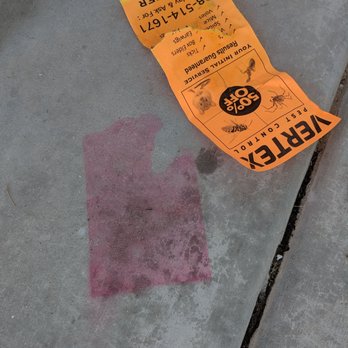 Vertex Pest Control - when you just toss flyers on the porch and then the sprinklers come on you end up with a nasty stain. - Pest Control Near Me - Meridian, Idaho Vertex Pest Control - when you just toss flyers on the porch and then the sprinklers come on you end up with a nasty stain. - Pest Control Near Me - Meridian, Idaho