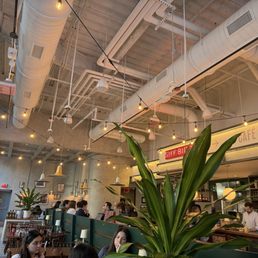 SHY BIRD - Updated July 2026 - 167 Photos & 75 Reviews - 201 Brookline ...
