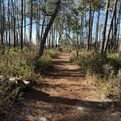 Carolina Beach State Park