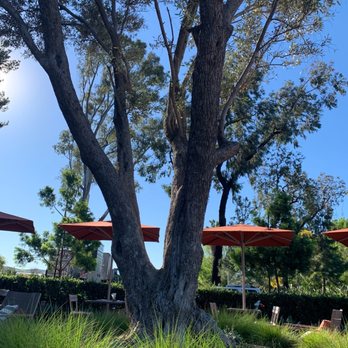 Starbucks - Coffee & Tea Near Me - Irvine, California
