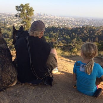 Canine Conservatory - Kurt & Chloe enjoying the view as they discuss dog wisdom with dog friends Duncan, Spirit & Buddha - Pet Training Near Me