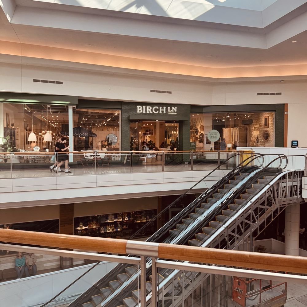 Birch Lane - Furniture Stores Near Me - Tampa, Florida
