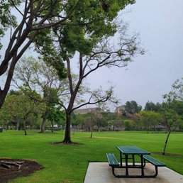 Picnic benches Picnic benches