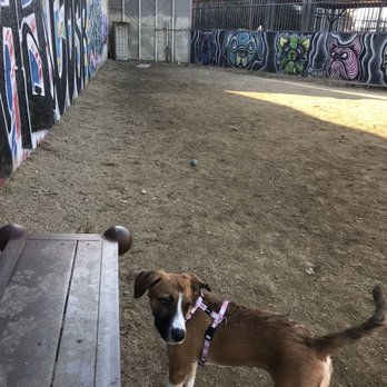Arts District Dog Park - More back space - Dog Parks Near Me - Los Angeles, California Arts District Dog Park - More back space - Dog Parks Near Me - Los Angeles, California