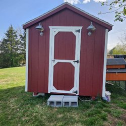 Capitol Sheds - I'm loving my new coop and I know my girls are lovin it too. Great prices and other options