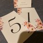Photo of Paper Doll Invitations