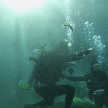 Open Water Adventures - Check out dive - Scuba Diving Near Me - Charlotte, North Carolina Open Water Adventures - Check out dive - Scuba Diving Near Me - Charlotte, North Carolina
