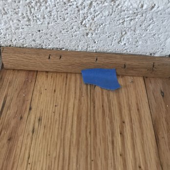 Maryland Carpet & Tile - Excessive staples - Carpeting Near Me - Gaithersburg, Maryland Maryland Carpet & Tile - Excessive staples - Carpeting Near Me - Gaithersburg, Maryland