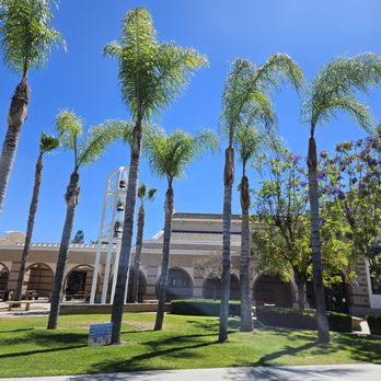 LV Landscape - palm tree pruning - Landscaping Near Me - Moreno Valley, California LV Landscape - palm tree pruning - Landscaping Near Me - Moreno Valley, California