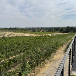 3100 Cellars