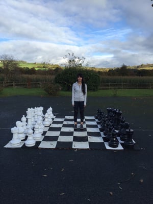 Llangoed Hall Hotel by null