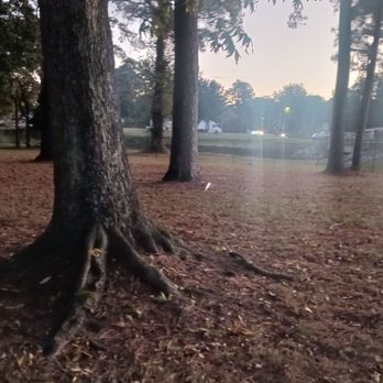 Washington Off-Leash Dog Park - A lot of dog park - Dog Parks Near Me - Washington, North Carolina