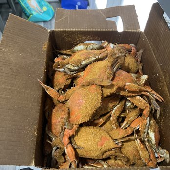 The Crab Galley - Large male crabs - Seafood Markets Near Me - Bowie, Maryland The Crab Galley - Large male crabs - Seafood Markets Near Me - Bowie, Maryland