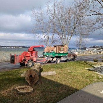 Milks Tree Service - Tree Services Near Me - Addison, Michigan Milks Tree Service - Tree Services Near Me - Addison, Michigan
