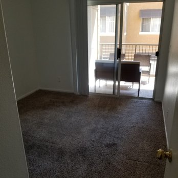 Carpet Monkey - Carpet Cleaning Near Me