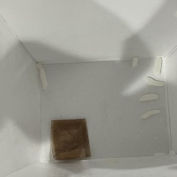 Yami Yami - the inside of a box - Sushi Bars Near Me - Bonaire, Georgia