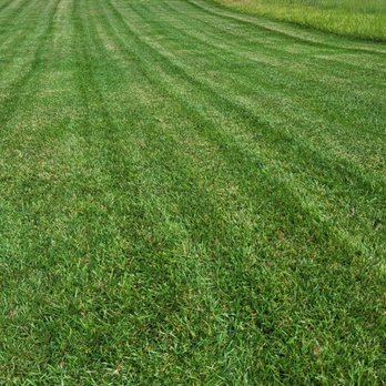 Tercero Mowing Services - Aceptando nuevos clientes - Lawn Services Near Me