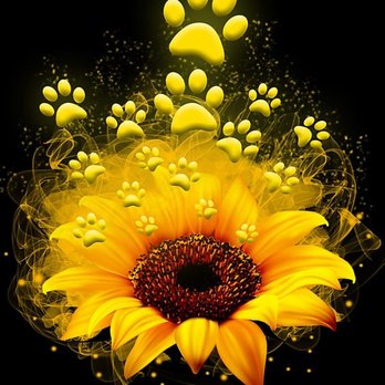 Sunny Paws Pet Grooming - Pet Groomers Near Me Sunny Paws Pet Grooming - Pet Groomers Near Me