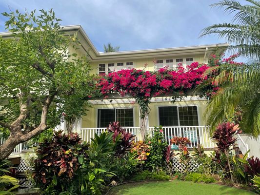Pineapple Inn Maui by null