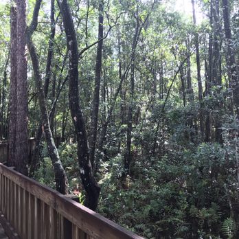 Tibet-Butler Preserve - Parks Near Me - Orlando, Florida Tibet-Butler Preserve - Parks Near Me - Orlando, Florida