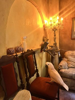 The Gallery Inn by null