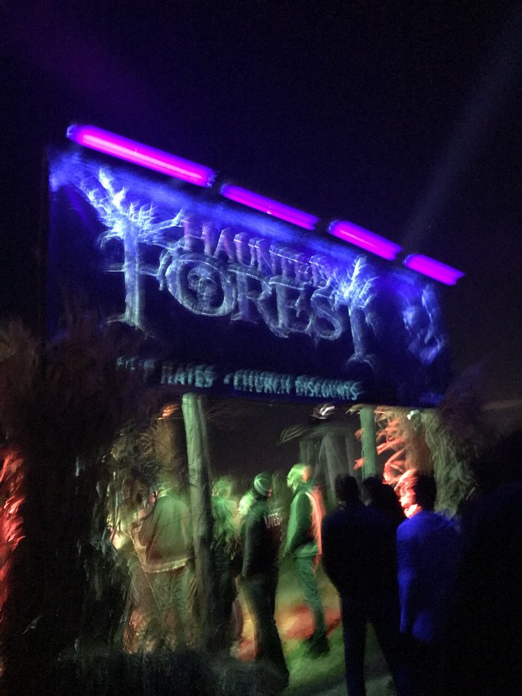 THE HAUNTED FOREST 28 Reviews Haunted Houses 6000 W 6400th N