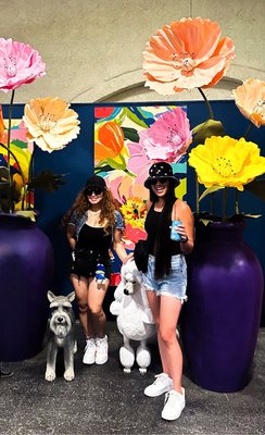 Del Mar Fairgrounds by null