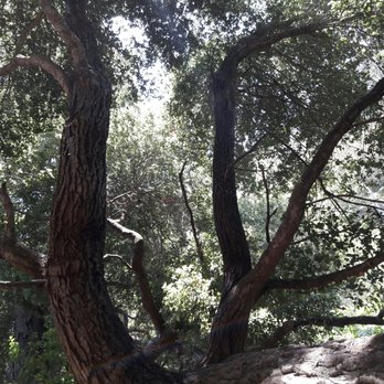 Murphy Ranch Trail - Hiking Near Me