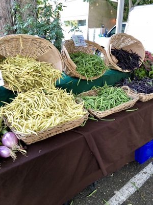 Lake City Farmers Market by null