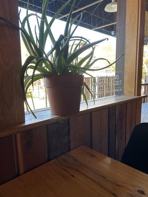 Puritan Coffee & Beer by null