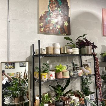 House Plant Collective - Nurseries & Gardening Near Me - Birmingham, Alabama House Plant Collective - Nurseries & Gardening Near Me - Birmingham, Alabama