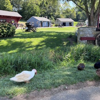 The Amish Village - The Amish Village in Lancaster, PA. - Tours Near Me - Ronks, Pennsylvania The Amish Village - The Amish Village in Lancaster, PA. - Tours Near Me - Ronks, Pennsylvania