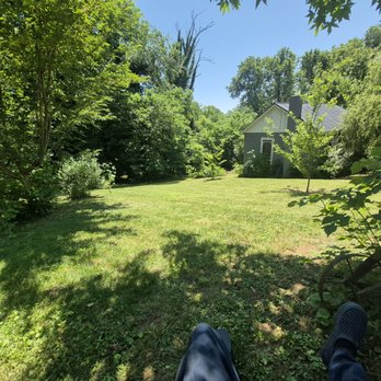 THN Tree Service And Removal - Tree Services Near Me - Bedford, Virginia THN Tree Service And Removal - Tree Services Near Me - Bedford, Virginia