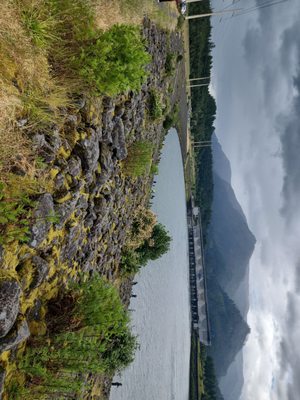 Bonneville Fish Hatchery by null