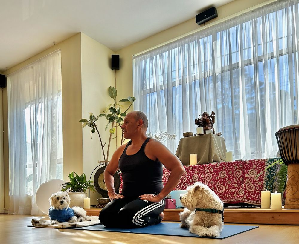 Armando Luna Yoga Logo