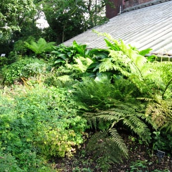 Chelsea Physic Garden - Botanical Gardens Near Me - London, XGL Chelsea Physic Garden - Botanical Gardens Near Me - London, XGL