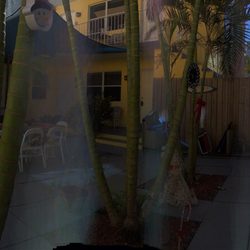 Ocean Inn Motel - Ocean Inn Courtyard