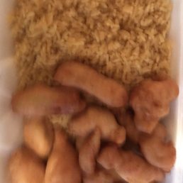 Sweet N Sour Chicken