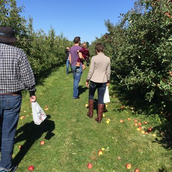 Jonamac Orchard - Fruits & Veggies Near Me - Malta, Illinois