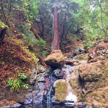 Cataract Falls Trail - The only waterfall we saw!! :( lol - Hiking Near Me Cataract Falls Trail - The only waterfall we saw!! :( lol - Hiking Near Me