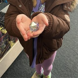 Game Masters - One D20 they have at the shop!