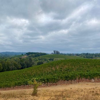 Iron Horse Vineyards - Iron Horse Vineyards - Wineries Near Me - Sebastopol, California Iron Horse Vineyards - Iron Horse Vineyards - Wineries Near Me - Sebastopol, California