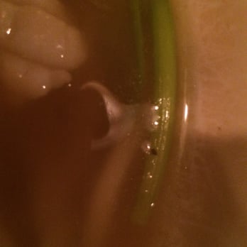 Ramen Bar - Got little fly in the soup but the waitress said  THAT IS NOT MY FAULT ! The other said he can't see it. - Ramen Near Me - Pittsburgh, Pennsylvania