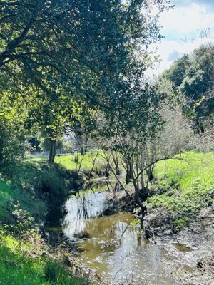 Laguna de Santa Rosa Trail by null