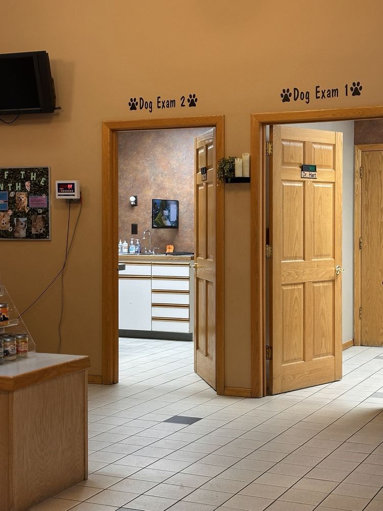 Fairwood Animal Hospital - pet boarding facility in Spokane, WA