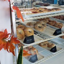 Bagel Girls - Bagels