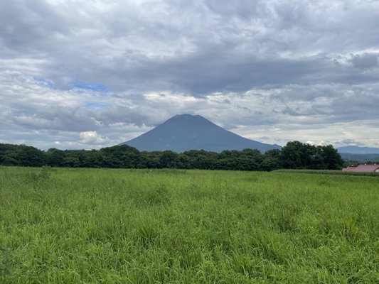 Niseko Takahashi Dairy Farm MILK KOBO by null